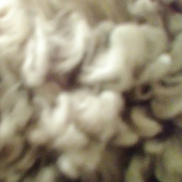 Meet your Posher, Brittany - Picture 1 of 1